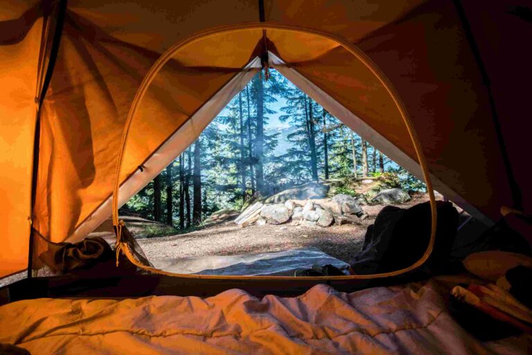 Why You Should Buy A Camping Tent